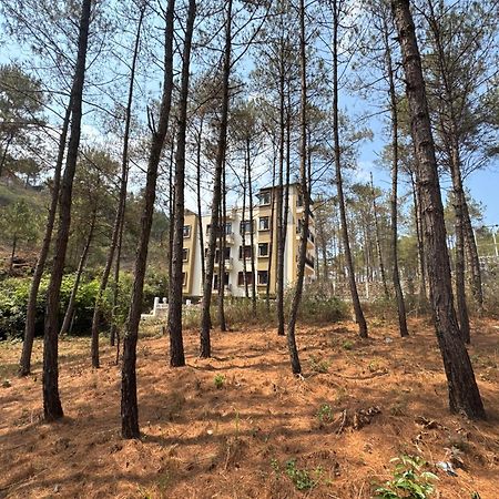 Xtsy Travellers Hostel Shillong Kültér fotó