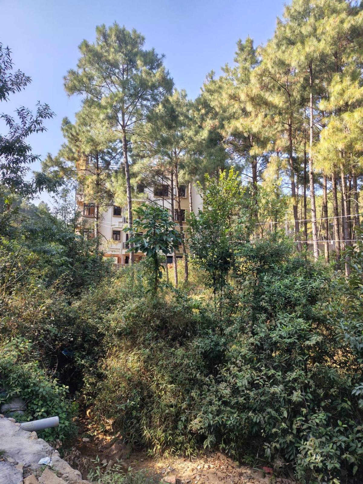 Xtsy Travellers Hostel Shillong Kültér fotó
