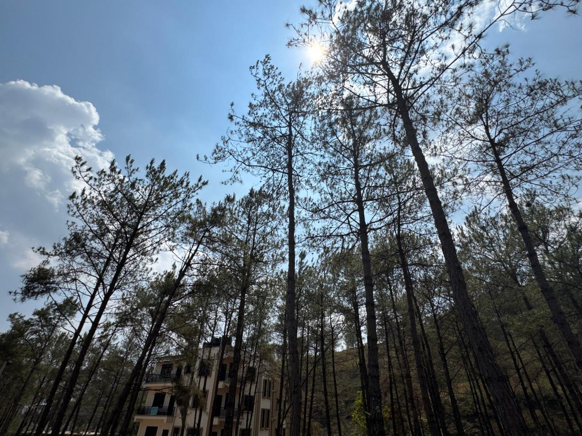 Xtsy Travellers Hostel Shillong Kültér fotó