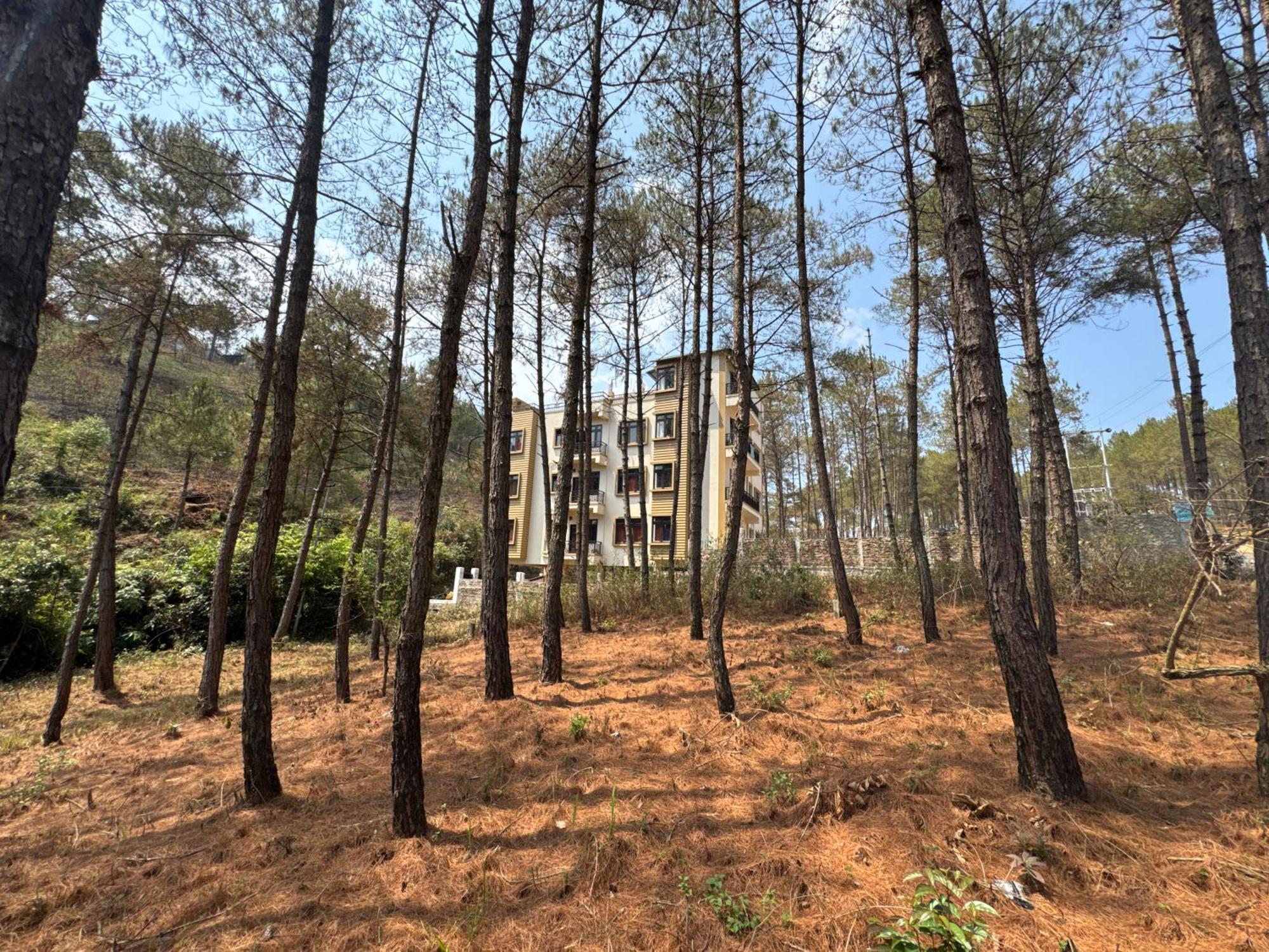 Xtsy Travellers Hostel Shillong Kültér fotó